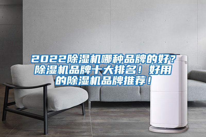 2022除濕機(jī)哪種品牌的好？除濕機(jī)品牌十大排名！好用的除濕機(jī)品牌推薦！