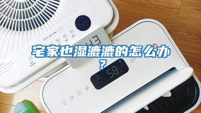 宅家也濕漉漉的怎么辦？