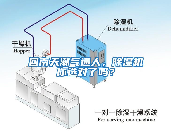 回南天潮氣逼人，除濕機你選對了嗎？