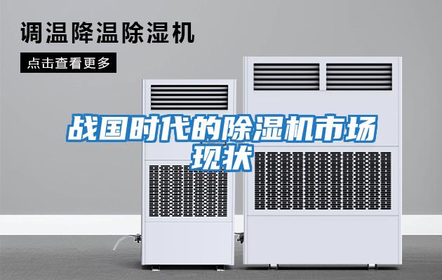 戰(zhàn)國時代的除濕機市場現(xiàn)狀