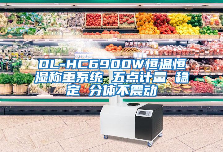 DL-HC6900W恒溫恒濕稱重系統(tǒng) 五點計量 穩(wěn)定 分體不震動