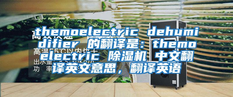 themoelectric dehumidifier 的翻譯是：themoelectric 除濕機 中文翻譯英文意思，翻譯英語