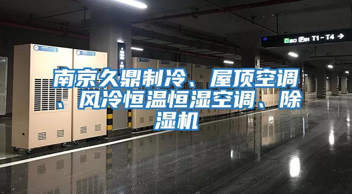 南京久鼎制冷、屋頂空調、風冷恒溫恒濕空調、除濕機