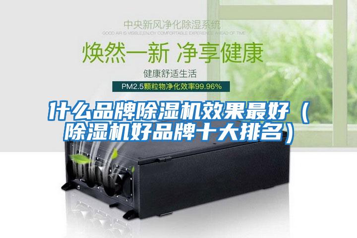 什么品牌除濕機效果最好（除濕機好品牌十大排名）