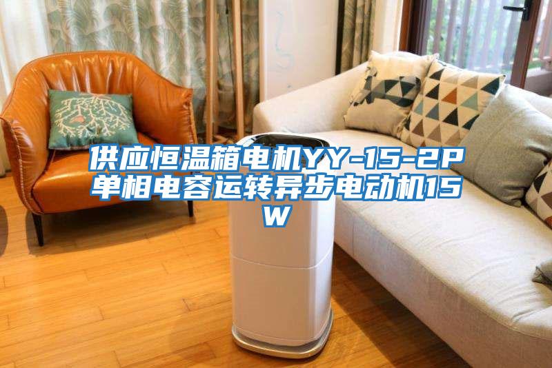 供應恒溫箱電機YY-15-2P單相電容運轉(zhuǎn)異步電動機15W