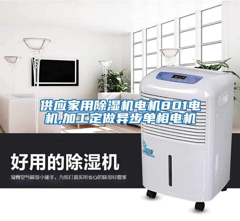 供應(yīng)家用除濕機(jī)電機(jī)801電機(jī),加工定做異步單相電機(jī)