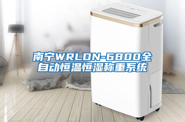 南寧WRLDN-6800全自動恒溫恒濕稱重系統(tǒng)