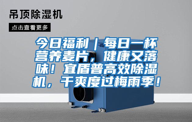 今日福利｜每日一杯營養(yǎng)麥片，健康又落味！宜盾普高效除濕機，干爽度過梅雨季！