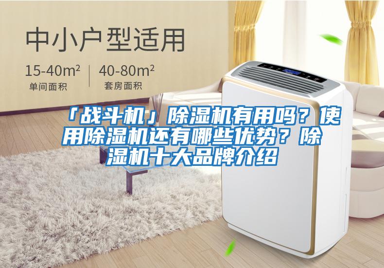 「戰(zhàn)斗機(jī)」除濕機(jī)有用嗎？使用除濕機(jī)還有哪些優(yōu)勢(shì)？除濕機(jī)十大品牌介紹