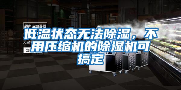 低溫狀態(tài)無法除濕，不用壓縮機的除濕機可搞定