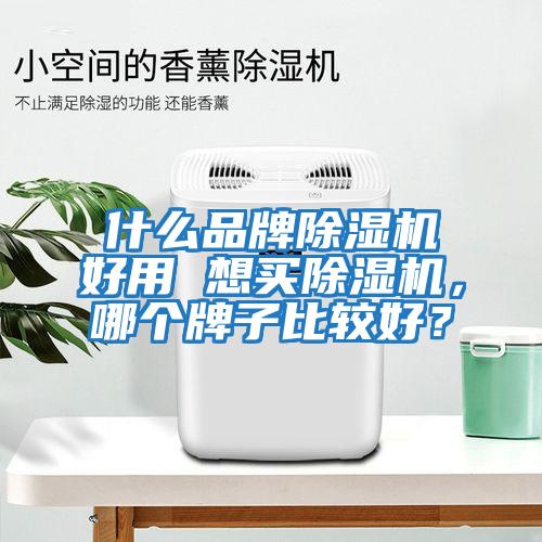 什么品牌除濕機(jī)好用 想買除濕機(jī)，哪個(gè)牌子比較好？