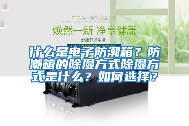 什么是電子防潮箱？防潮箱的除濕方式除濕方式是什么？如何選擇？