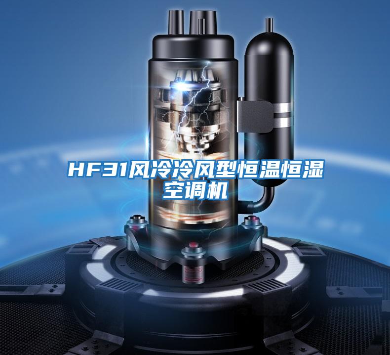 HF31風(fēng)冷冷風(fēng)型恒溫恒濕空調(diào)機