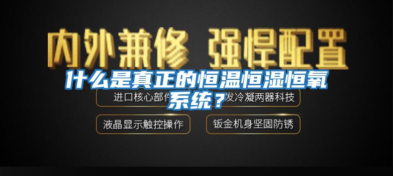 什么是真正的恒溫恒濕恒氧系統(tǒng)？