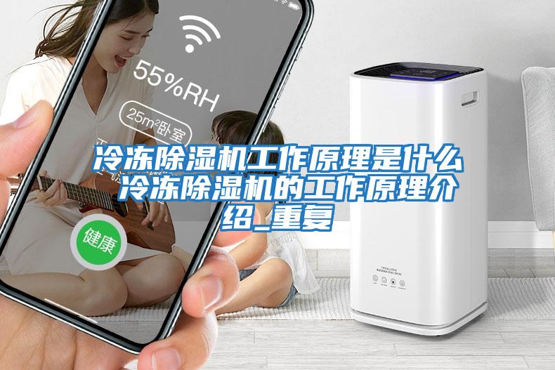 冷凍除濕機工作原理是什么 冷凍除濕機的工作原理介紹_重復