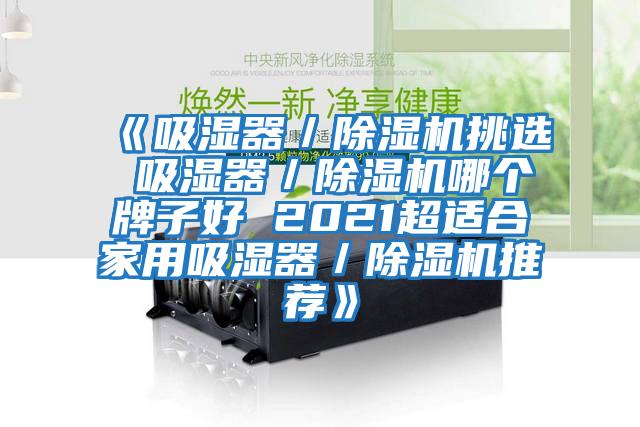 《吸濕器／除濕機(jī)挑選 吸濕器／除濕機(jī)哪個(gè)牌子好 2021超適合家用吸濕器／除濕機(jī)推薦》