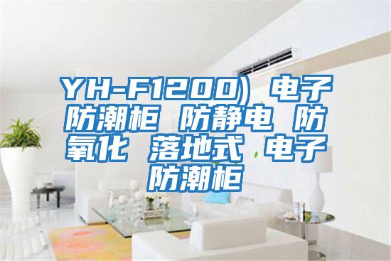 YH-F1200) 電子防潮柜 防靜電 防氧化 落地式 電子防潮柜