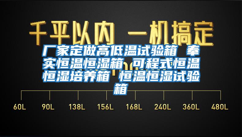 廠家定做高低溫試驗(yàn)箱 奉實(shí)恒溫恒濕箱 可程式恒溫恒濕培養(yǎng)箱 恒溫恒濕試驗(yàn)箱