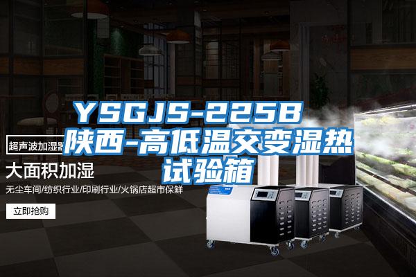 YSGJS-225B  陜西-高低溫交變濕熱試驗(yàn)箱