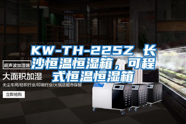 KW-TH-225Z 長沙恒溫恒濕箱，可程式恒溫恒濕箱