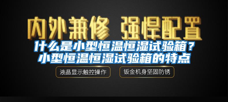 什么是小型恒溫恒濕試驗(yàn)箱？小型恒溫恒濕試驗(yàn)箱的特點(diǎn)