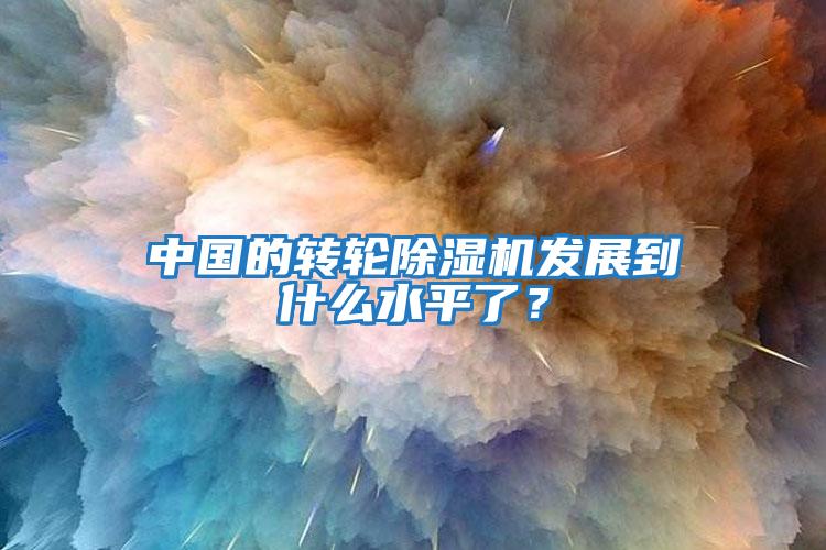 中國的轉(zhuǎn)輪除濕機(jī)發(fā)展到什么水平了？