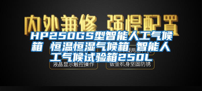 HP250GS型智能人工氣候箱 恒溫恒濕氣候箱 智能人工氣候試驗(yàn)箱250L