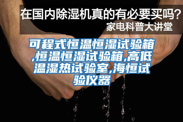 可程式恒溫恒濕試驗箱,恒溫恒濕試驗箱,高低溫濕熱試驗室,海恒試驗儀器