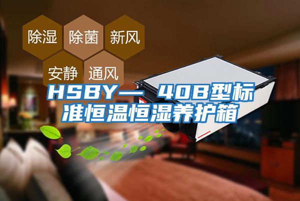 HSBY— 40B型標準恒溫恒濕養(yǎng)護箱