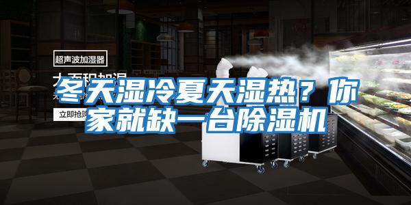 冬天濕冷夏天濕熱？你家就缺一臺除濕機