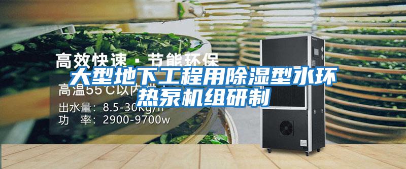 大型地下工程用除濕型水環(huán)熱泵機(jī)組研制