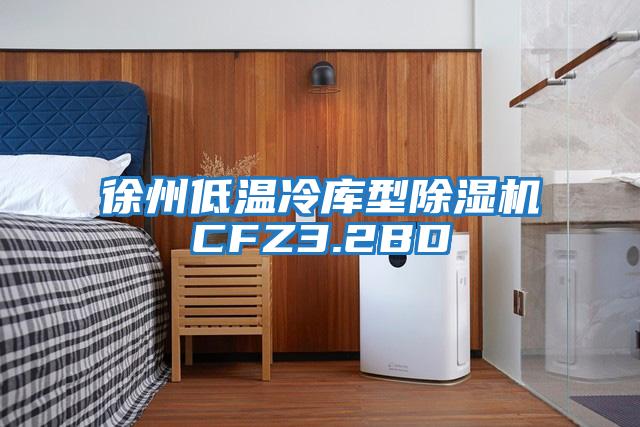 徐州低溫冷庫(kù)型除濕機(jī)CFZ3.2BD