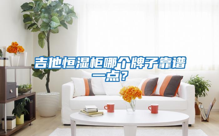 吉他恒濕柜哪個(gè)牌子靠譜一點(diǎn)？