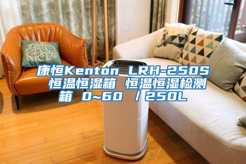 康恒Kenton LRH-250S 恒溫恒濕箱 恒溫恒濕檢測(cè)箱 0~60℃／250L