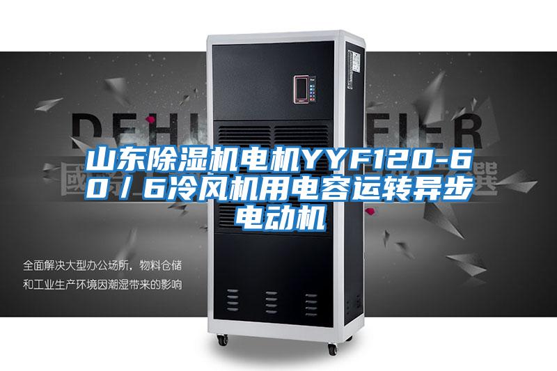 山東除濕機電機YYF120-60／6冷風機用電容運轉(zhuǎn)異步電動機