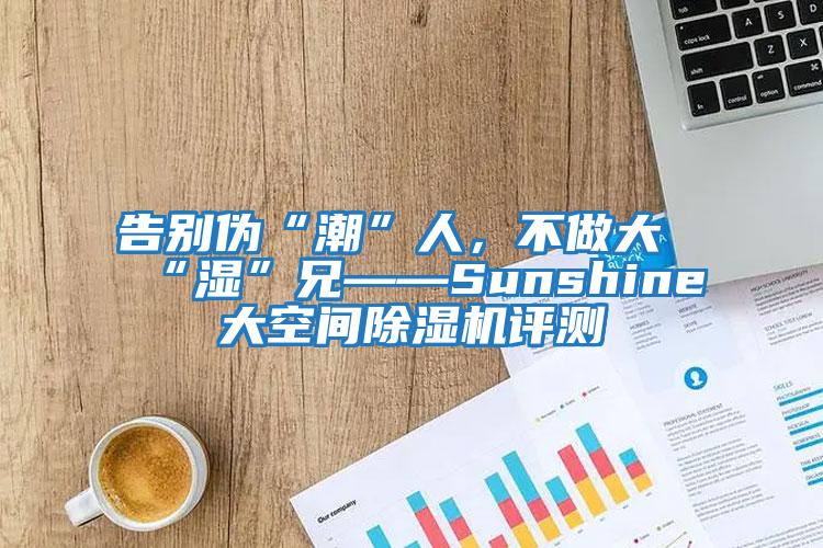 告別偽“潮”人，不做大“濕”兄——Sunshine大空間除濕機評測