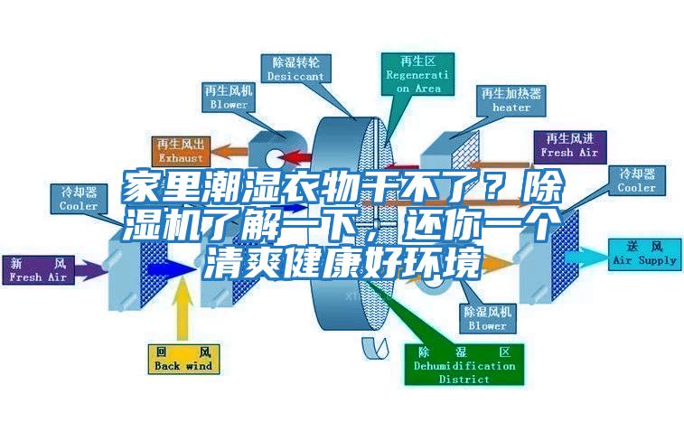 家里潮濕衣物干不了？除濕機(jī)了解一下，還你一個(gè)清爽健康好環(huán)境