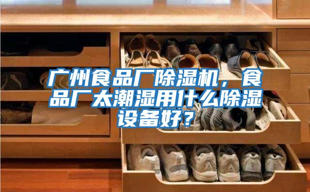 廣州食品廠除濕機，食品廠太潮濕用什么除濕設(shè)備好？