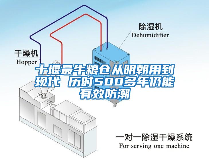 十堰最牛糧倉從明朝用到現(xiàn)代 歷時500多年仍能有效防潮