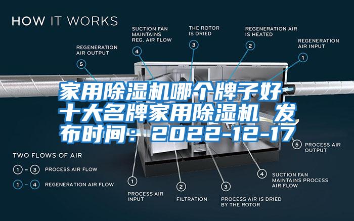 家用除濕機(jī)哪個(gè)牌子好 十大名牌家用除濕機(jī) 發(fā)布時(shí)間：2022-12-17