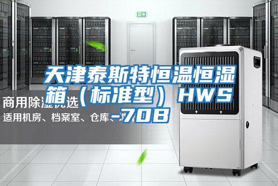 天津泰斯特恒溫恒濕箱（標(biāo)準(zhǔn)型）HWS-70B