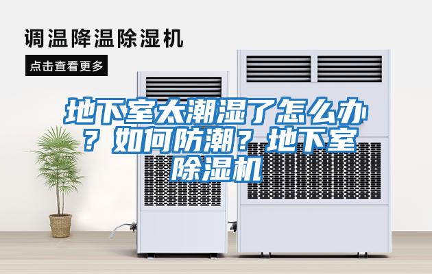 地下室太潮濕了怎么辦？如何防潮？地下室除濕機(jī)