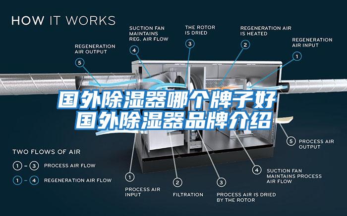 國外除濕器哪個(gè)牌子好 國外除濕器品牌介紹