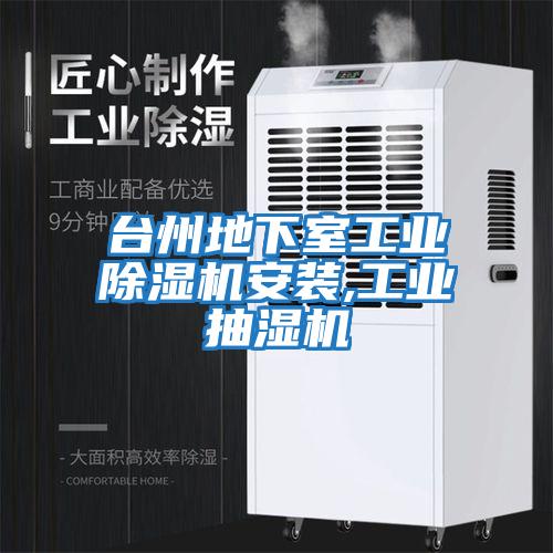 臺(tái)州地下室工業(yè)除濕機(jī)安裝,工業(yè)抽濕機(jī)