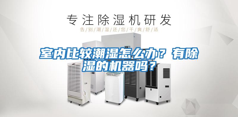 室內(nèi)比較潮濕怎么辦？有除濕的機器嗎？