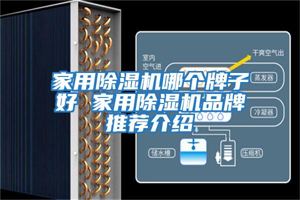 家用除濕機哪個牌子好 家用除濕機品牌推薦介紹