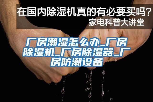 廠房潮濕怎么辦_廠房除濕機_廠房除濕器_廠房防潮設備