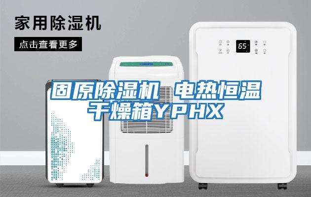 固原除濕機 電熱恒溫干燥箱YPHX