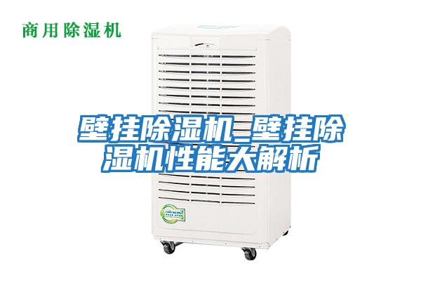 壁掛除濕機_壁掛除濕機性能大解析