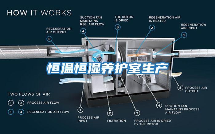 恒溫恒濕養(yǎng)護(hù)室生產(chǎn)